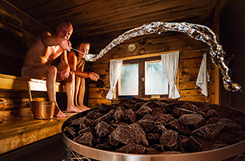  купити дров'яну піч кам'янку Iki в Харкові, Дніпрі, в Україні